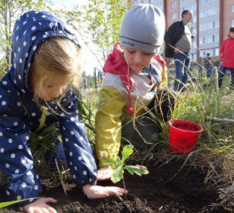 В урочище «Мутнянка» ставропольские активисты высадили деревья