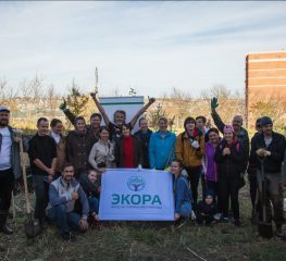 Эко-общественники Ставрополя восстанавливают лес в урочище «Мутнянка» краевой столицы