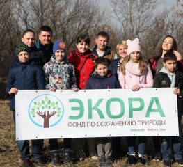 Школьники Ставрополя поучаствовали в масштабной высадке деревьев