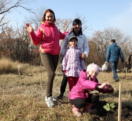 Более 100 деревьев высадили школьники в одном из урочищ Ставрополя