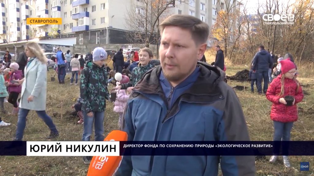 Ставропольские школьники высадили в краевом центре более 100 саженцев дубов и туй