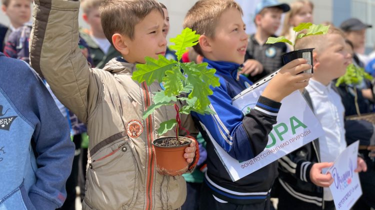 ТАСС: На Ставрополье проведут экологические уроки для 1,5 тыс. младшеклассников